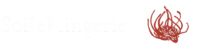 Soie lingerie